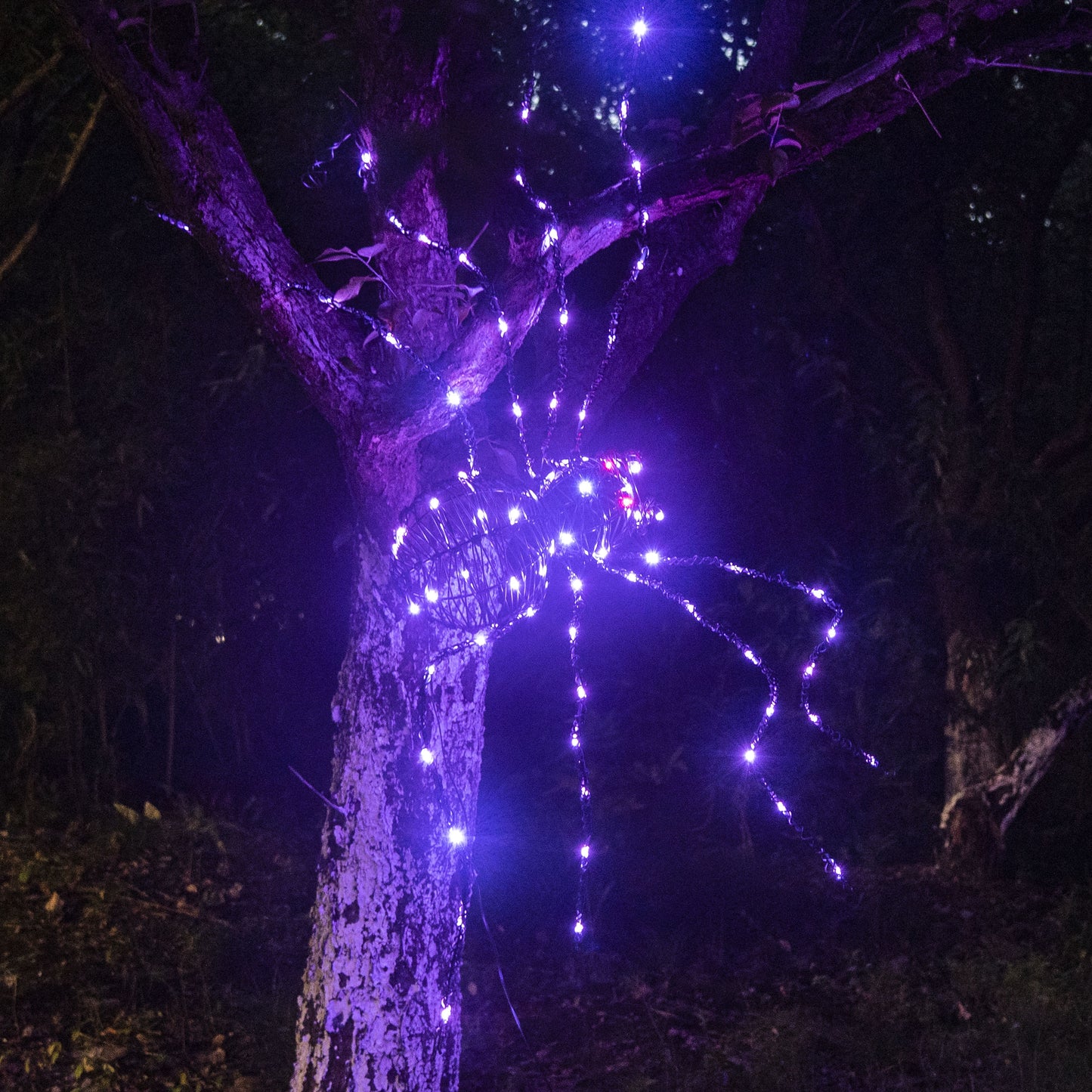 EAMBRITE 5 英尺万圣节巨型蜘蛛,户外点亮蜘蛛,带 84 个 LED 紫色灯
