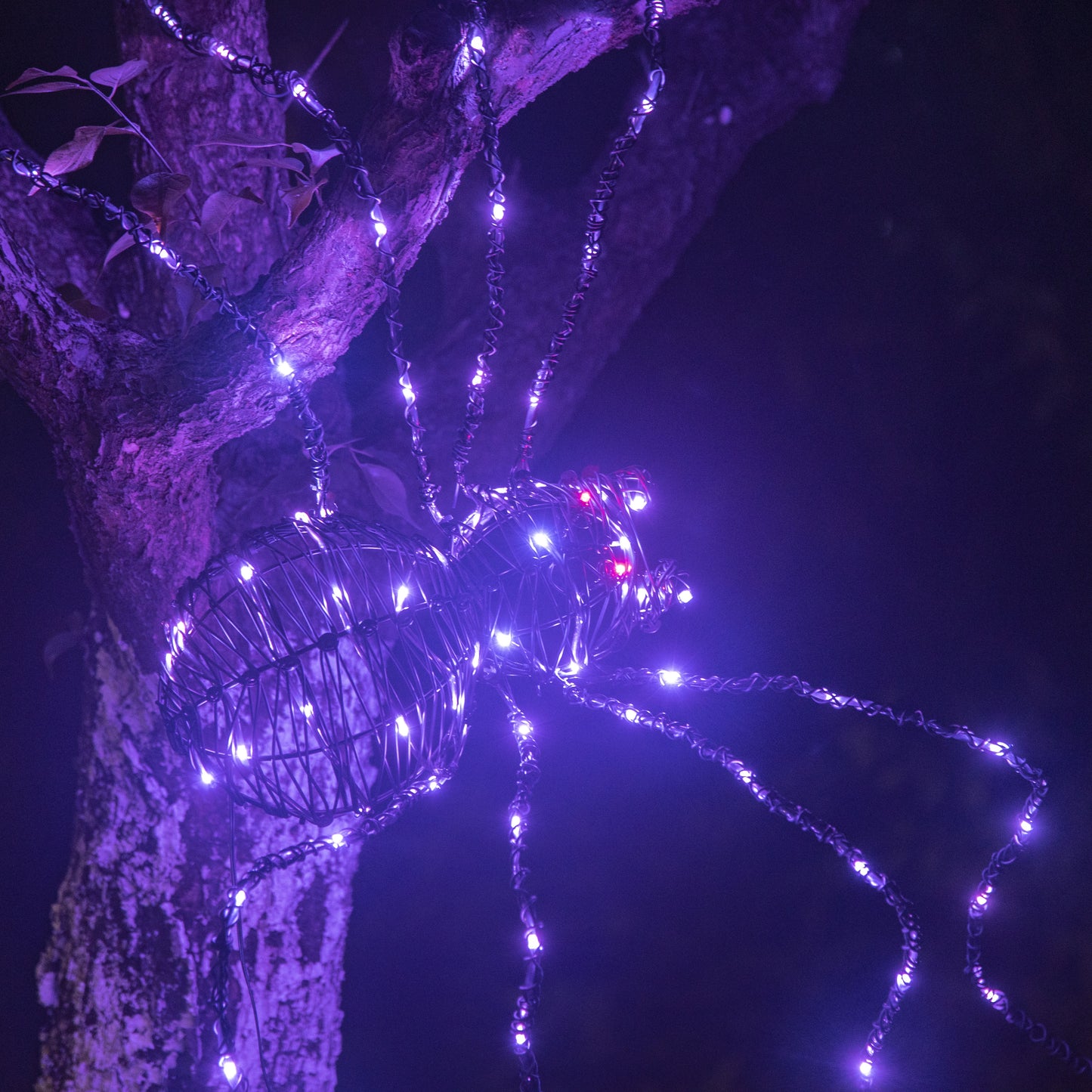 EAMBRITE 5 英尺万圣节巨型蜘蛛,户外点亮蜘蛛,带 84 个 LED 紫色灯