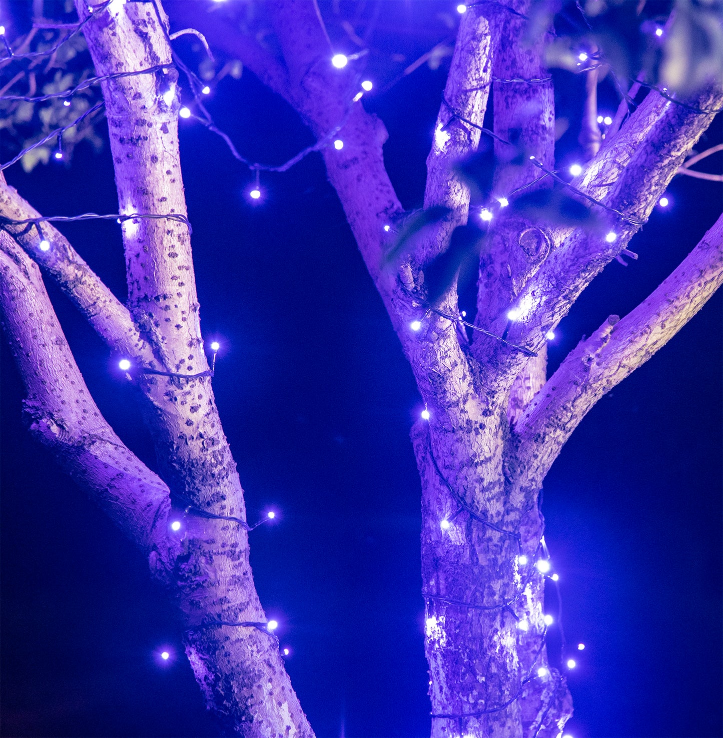 EAMBRITE 万圣节装饰 200 个 LED 万圣节灯串,带恐怖音乐