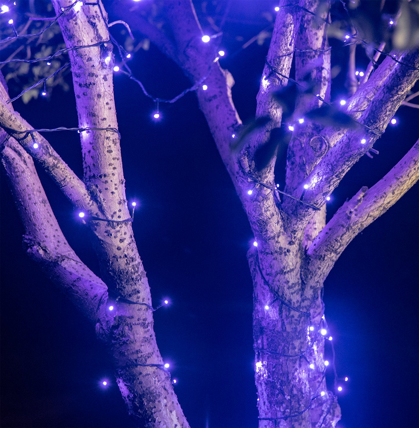 EAMBRITE 万圣节装饰 200 个 LED 万圣节灯串,带恐怖音乐