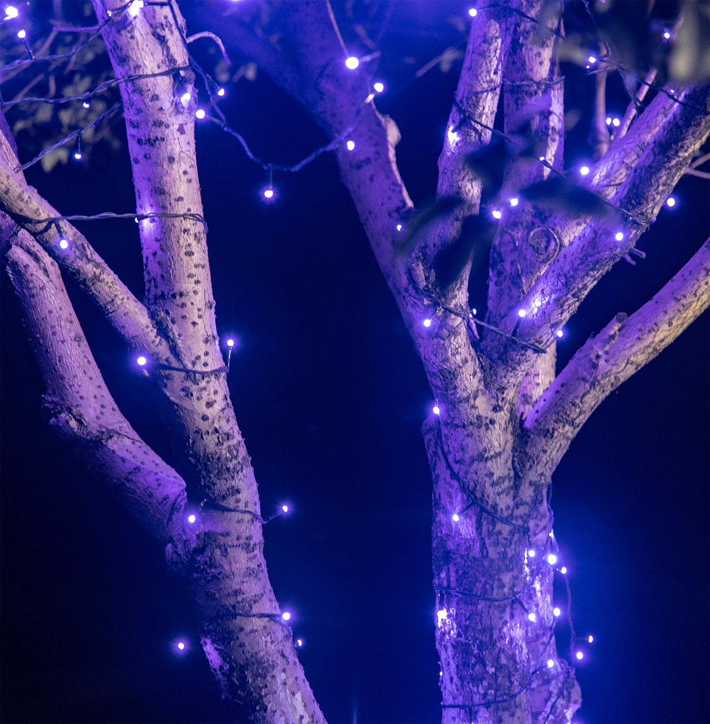 EAMBRITE 万圣节装饰 200 个 LED 万圣节灯串,带恐怖音乐