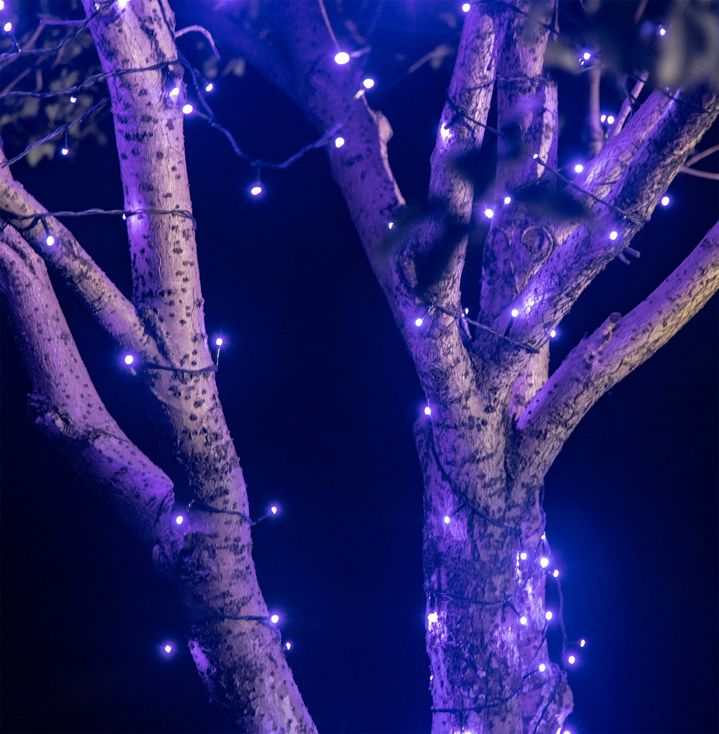 EAMBRITE 万圣节装饰 200 个 LED 万圣节灯串,带恐怖音乐