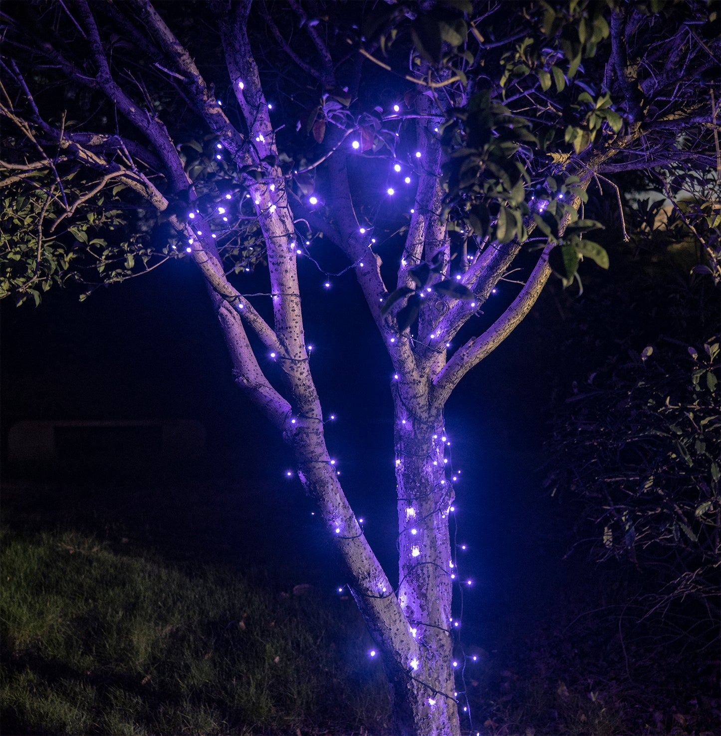 EAMBRITE 万圣节装饰 200 个 LED 万圣节灯串,带恐怖音乐