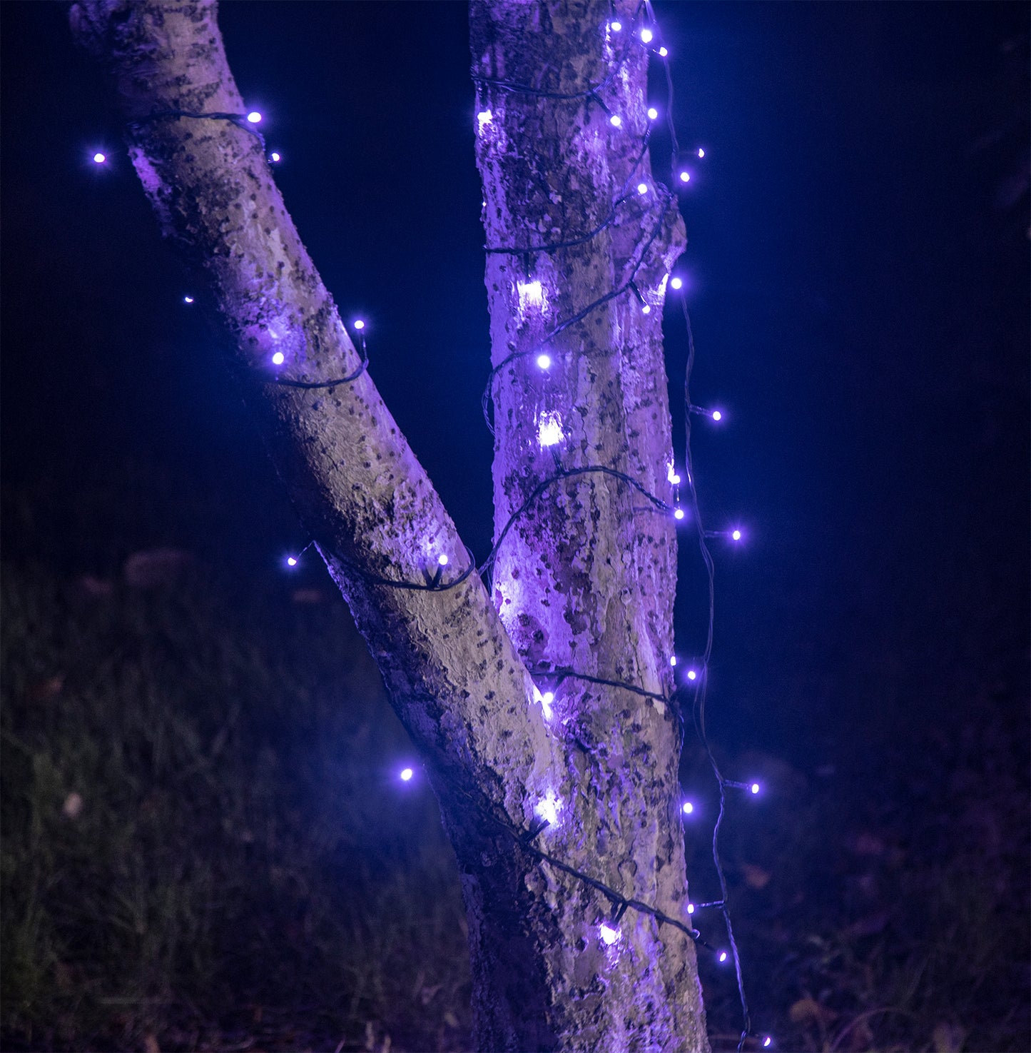EAMBRITE 万圣节装饰 200 个 LED 万圣节灯串,带恐怖音乐