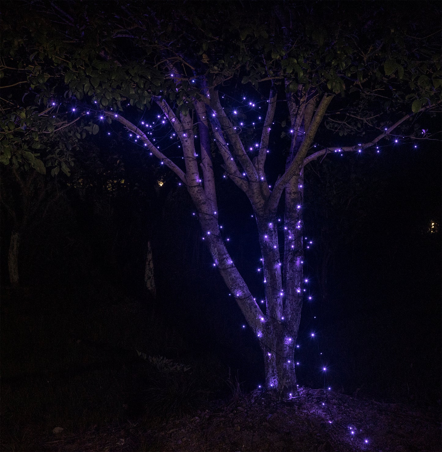 EAMBRITE 万圣节装饰 200 个 LED 万圣节灯串,带恐怖音乐
