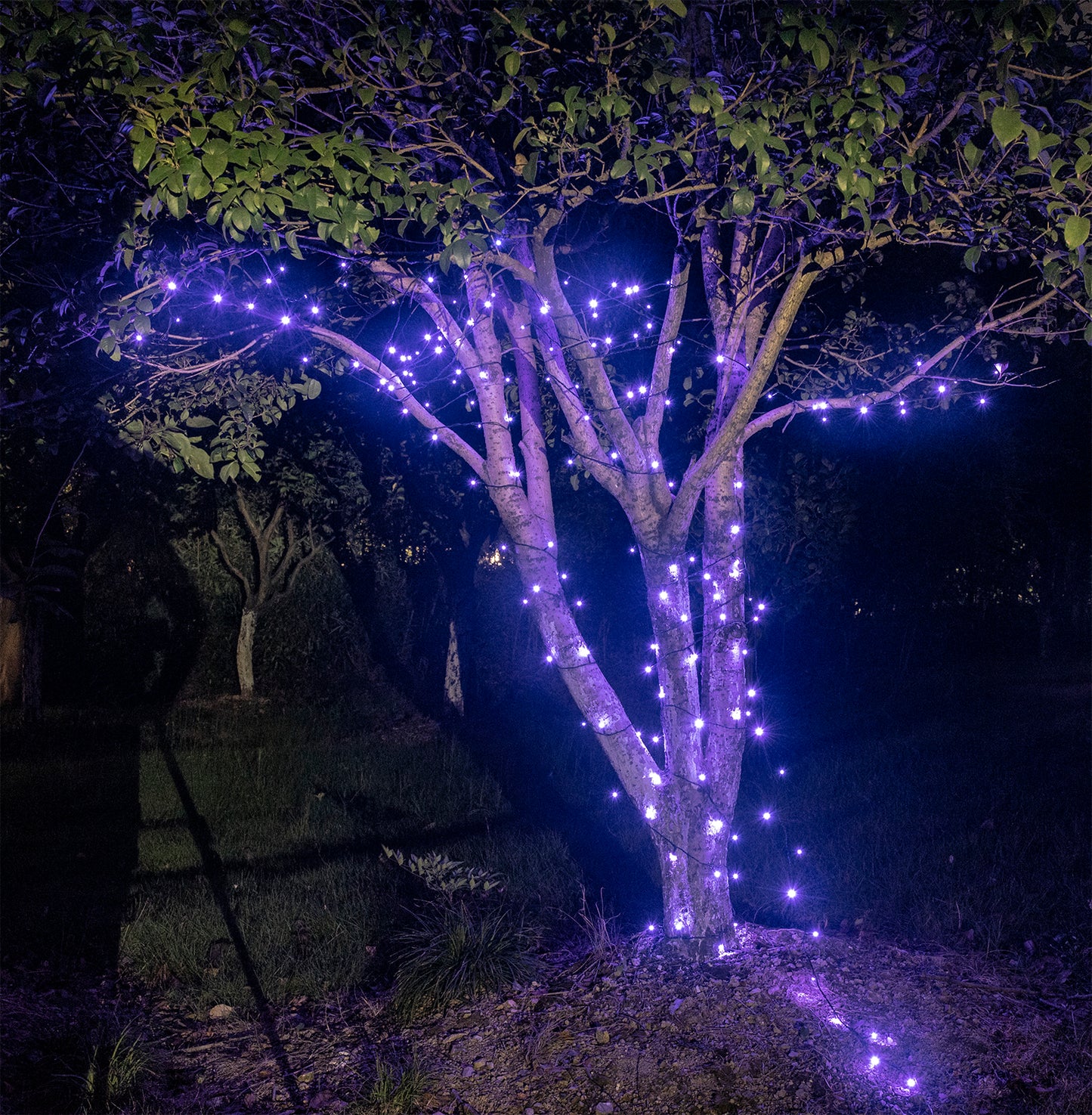 EAMBRITE 万圣节装饰 200 个 LED 万圣节灯串,带恐怖音乐