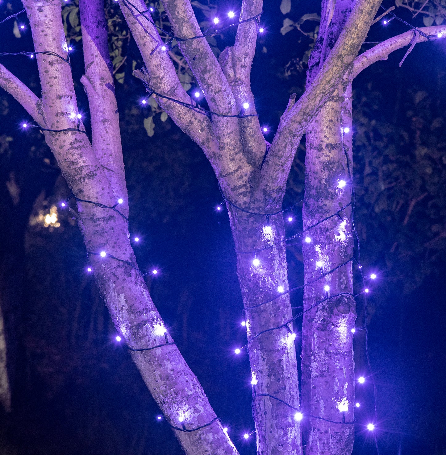 EAMBRITE 万圣节装饰 200 个 LED 万圣节灯串,带恐怖音乐