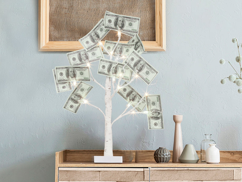 EAMBRITE Money Tree Gift Holder, Gift Card Tree 2FT 24LED