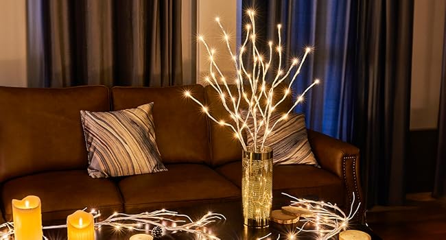EAMBRITE předosvětlené světla na bílých brečkových větvíčkách