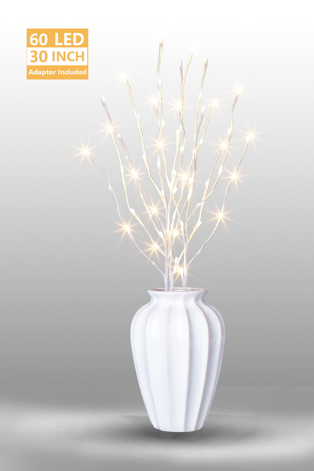  EAMBRITE Ramas Blancas Iluminadas, 30 Pulgadas, 60 LED