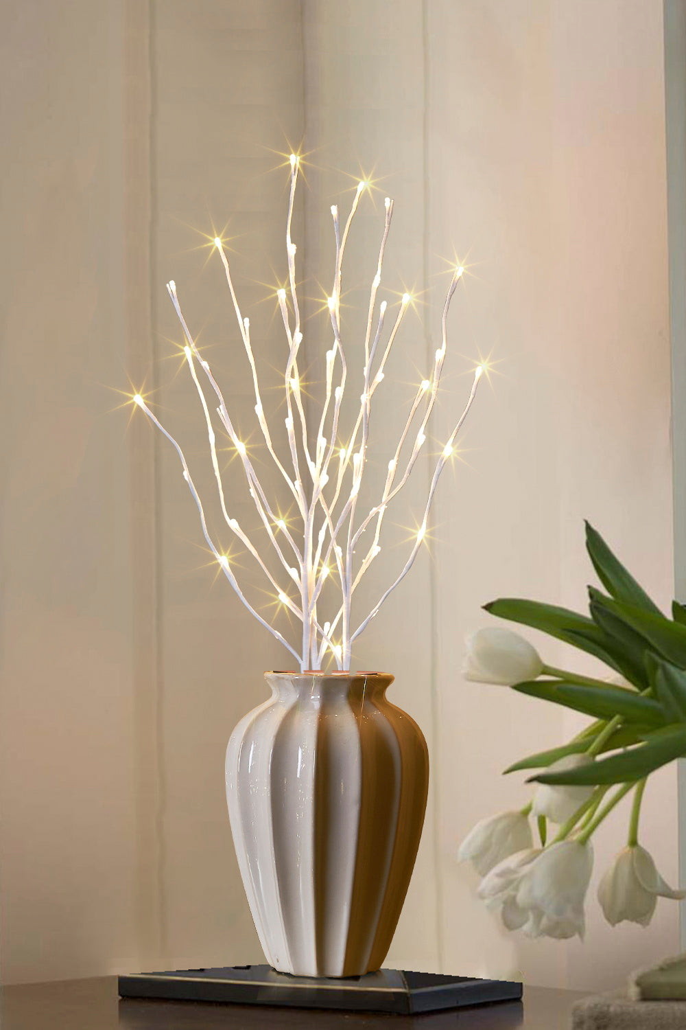  EAMBRITE Ramas Blancas Iluminadas, 30 Pulgadas, 60 LED
