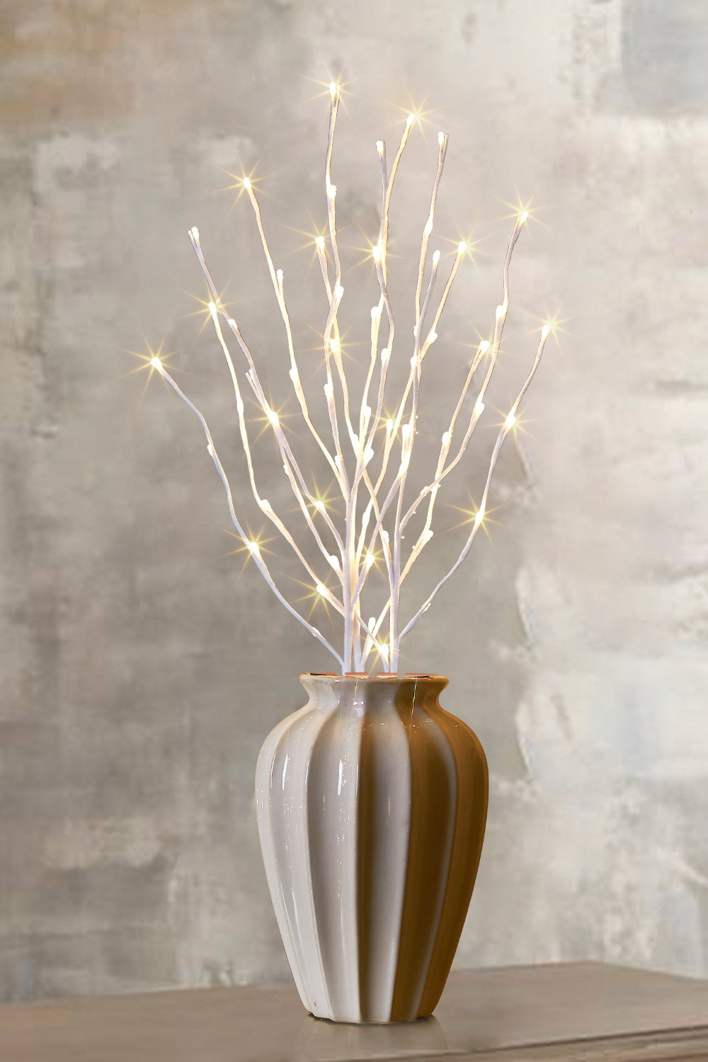  EAMBRITE Ramas Blancas Iluminadas, 30 Pulgadas, 60 LED