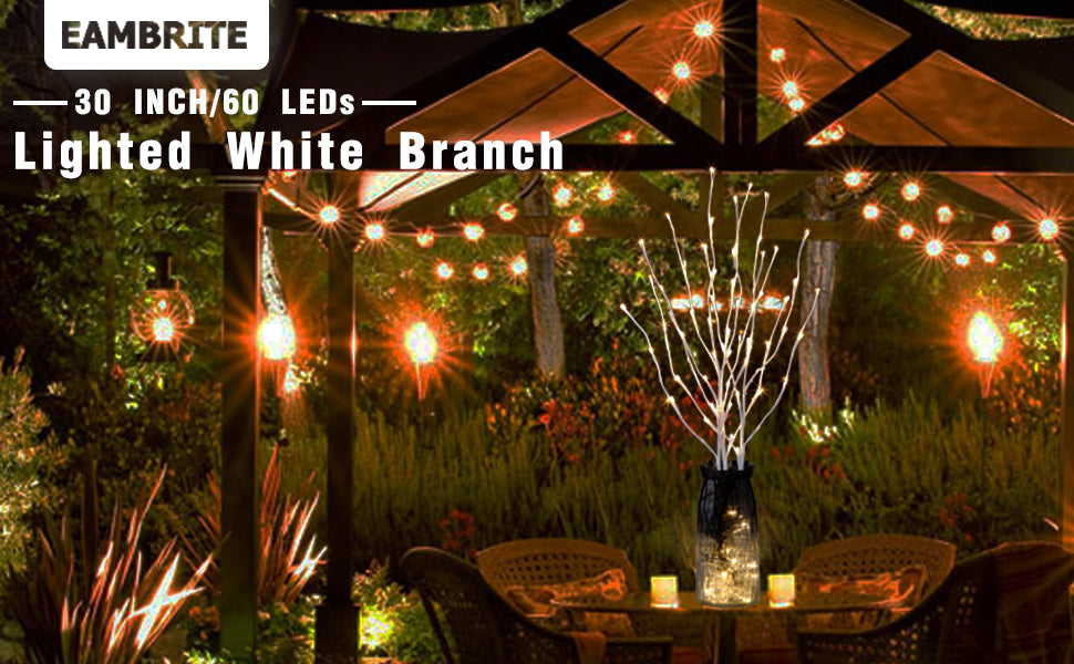  EAMBRITE Ramas Blancas Iluminadas, 30 Pulgadas, 60 LED