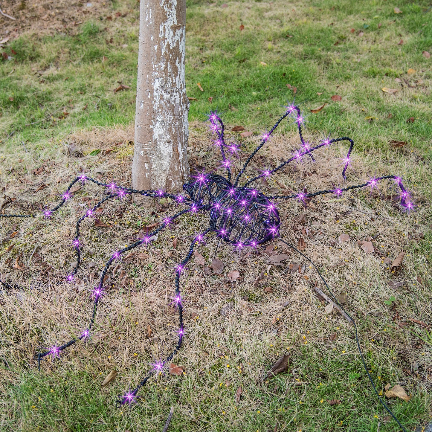 Araignée géante d'Halloween EAMBRITE de 1,5 m, araignée lumineuse d'extérieur avec 84 LED violettes