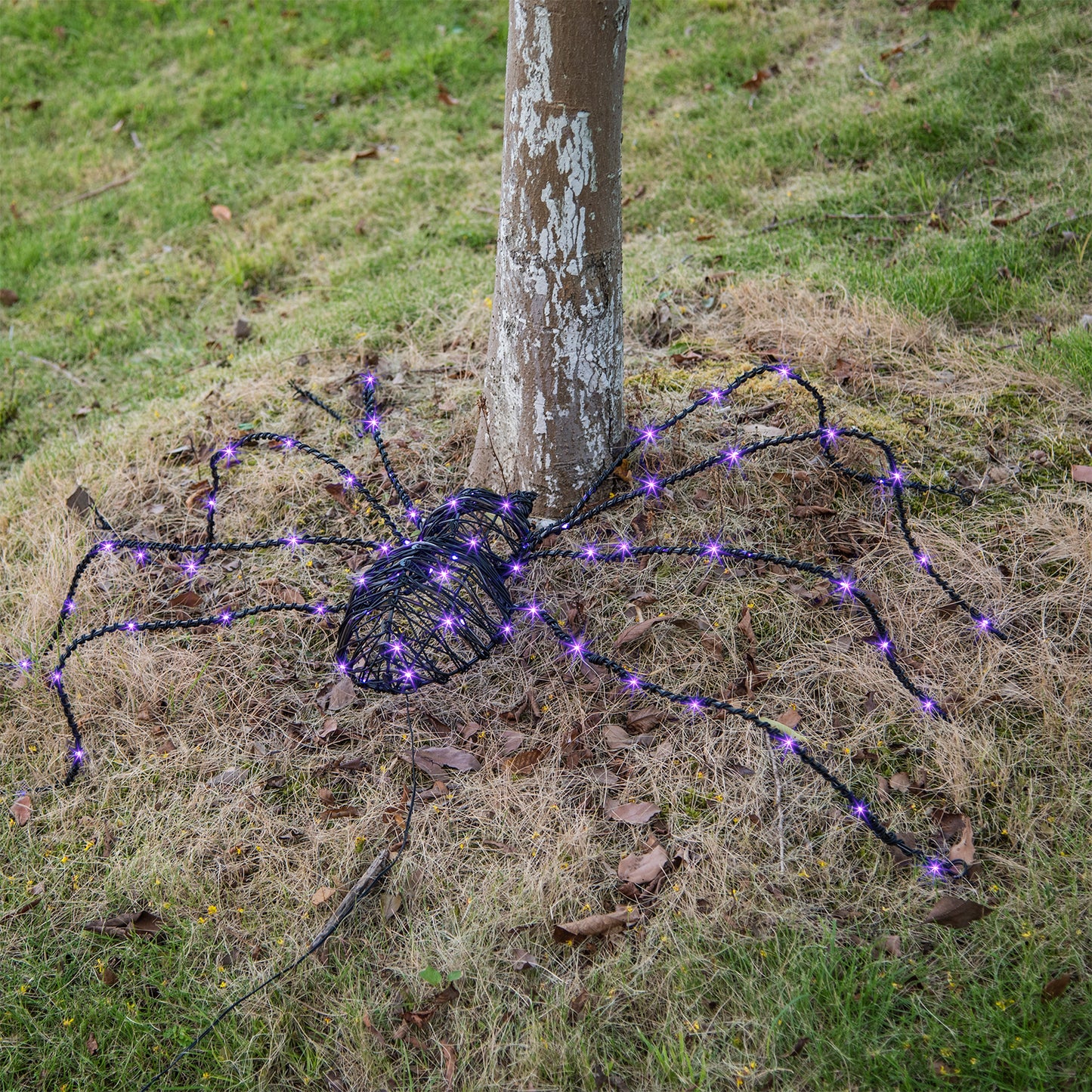 Araignée géante d'Halloween EAMBRITE de 1,5 m, araignée lumineuse d'extérieur avec 84 LED violettes