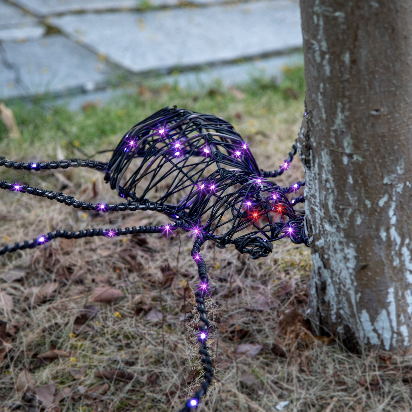 Araignée géante d'Halloween EAMBRITE de 1,5 m, araignée lumineuse d'extérieur avec 84 LED violettes