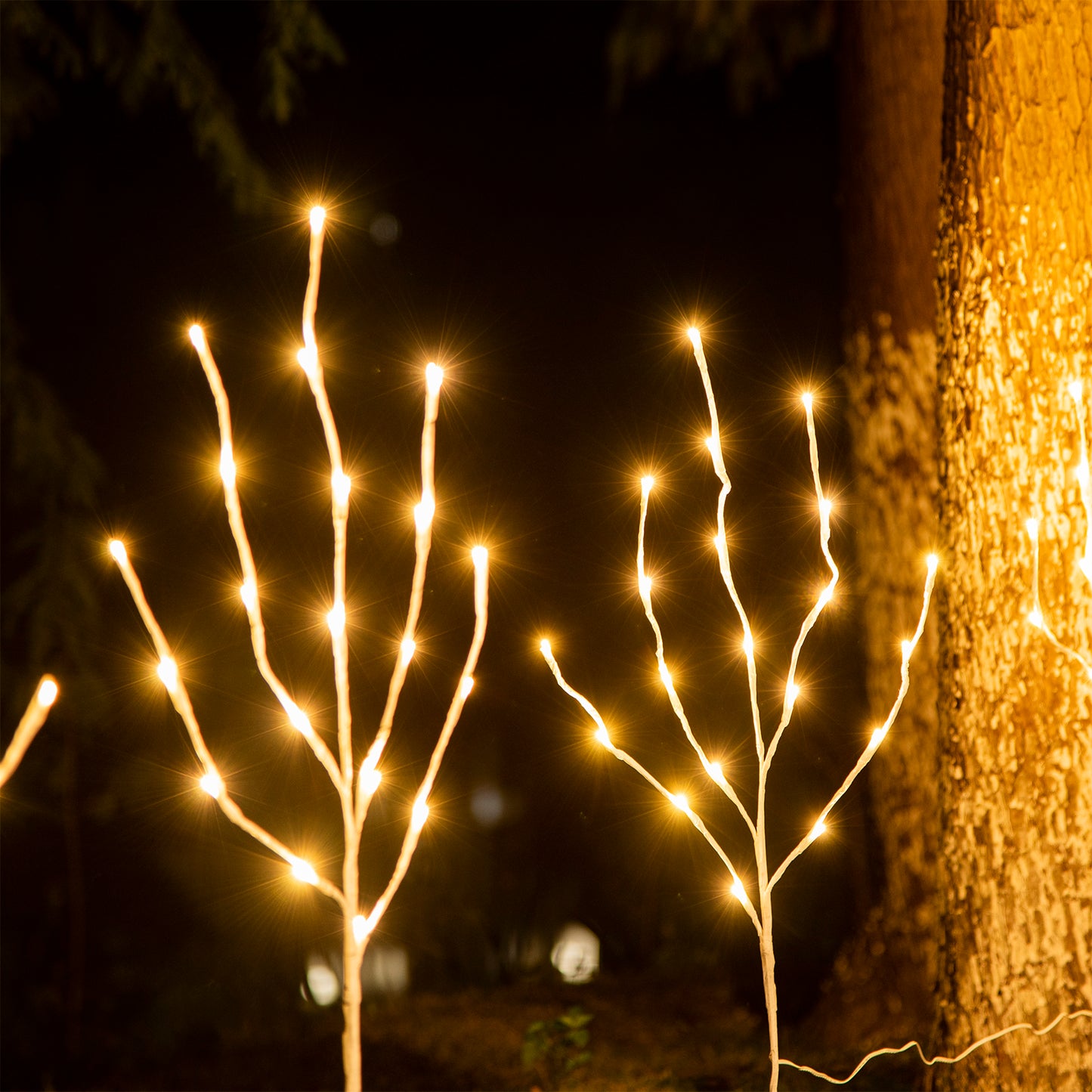  EAMBRITE Ramas Blancas Iluminadas, 30 Pulgadas, 60 LED