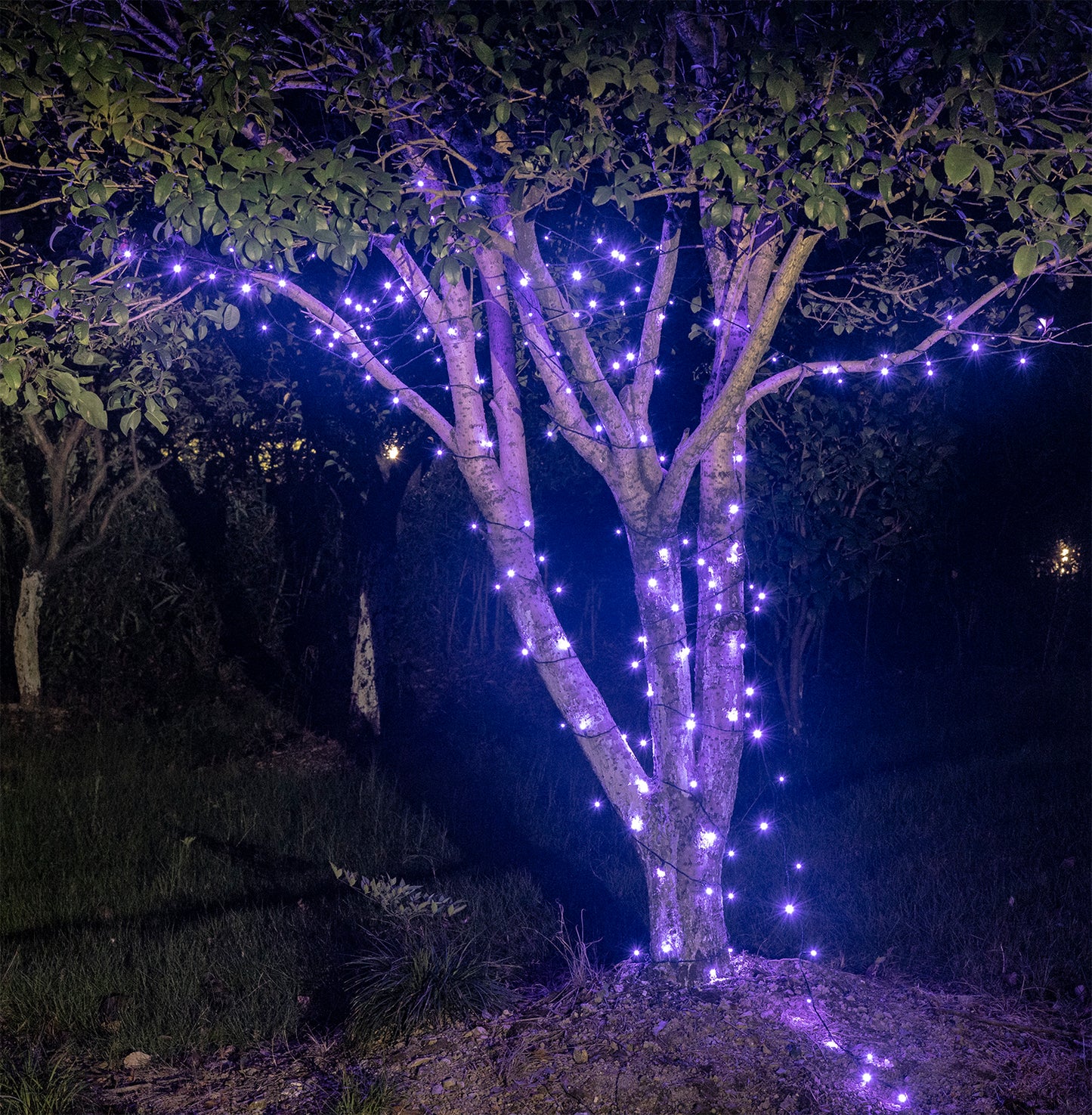 EAMBRITE 万圣节装饰 200 个 LED 万圣节灯串，带恐怖音乐