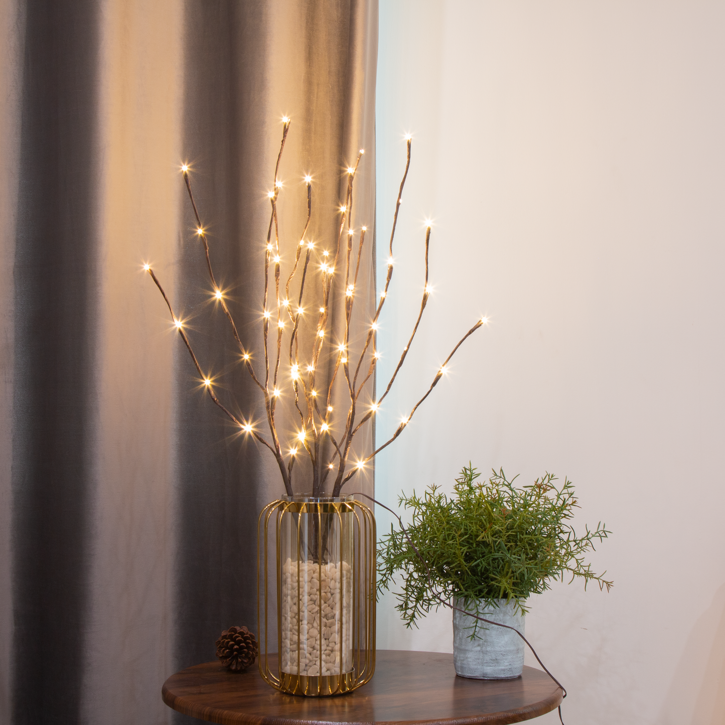EAMBRITE 6PK Lighted Branches Brown Twig Stake